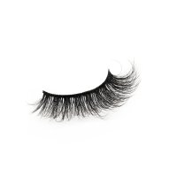 volume light lashes