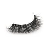 fox eye volume lashes strpi