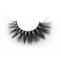 3d mink cat eye lashes strips