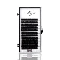 l curl classic lashes