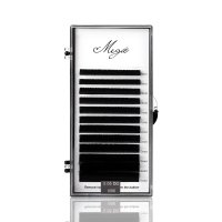 DD curl easy fan eyelash extensions