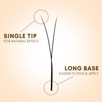 2D y lashes fan detail