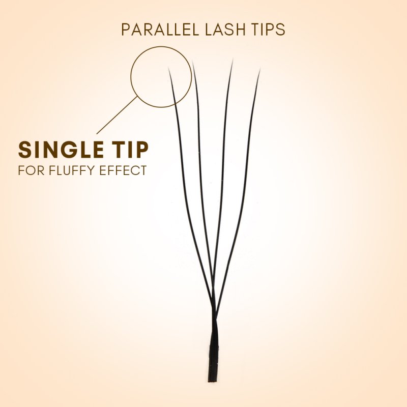 4D u lash fan detail