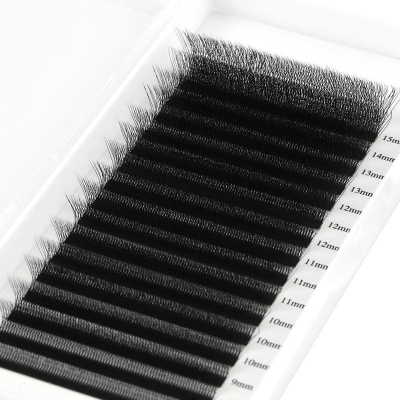 6D W lash eyelash extension