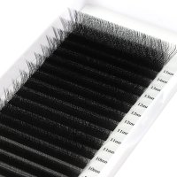 3D W lash eyelash extension