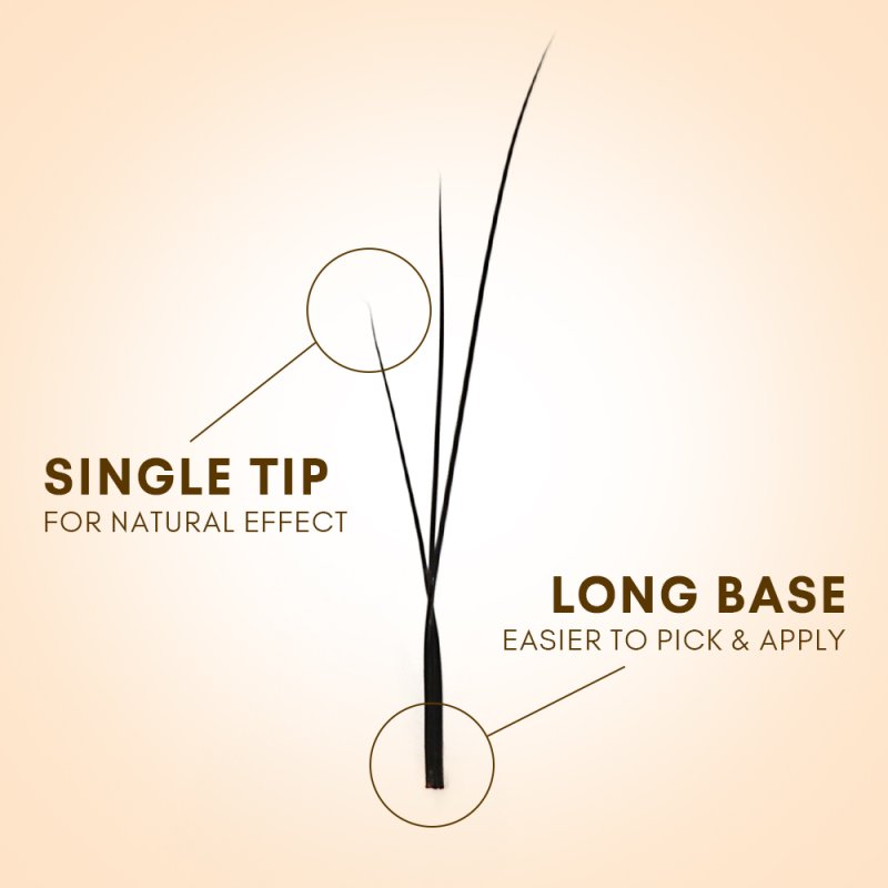 foxy w lashes fan detail