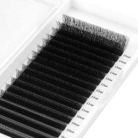 3D U lash eyelash extension