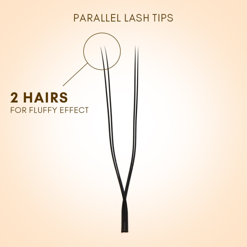 2D U lashes fan detail