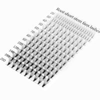 short stem premade volume fans lash extension