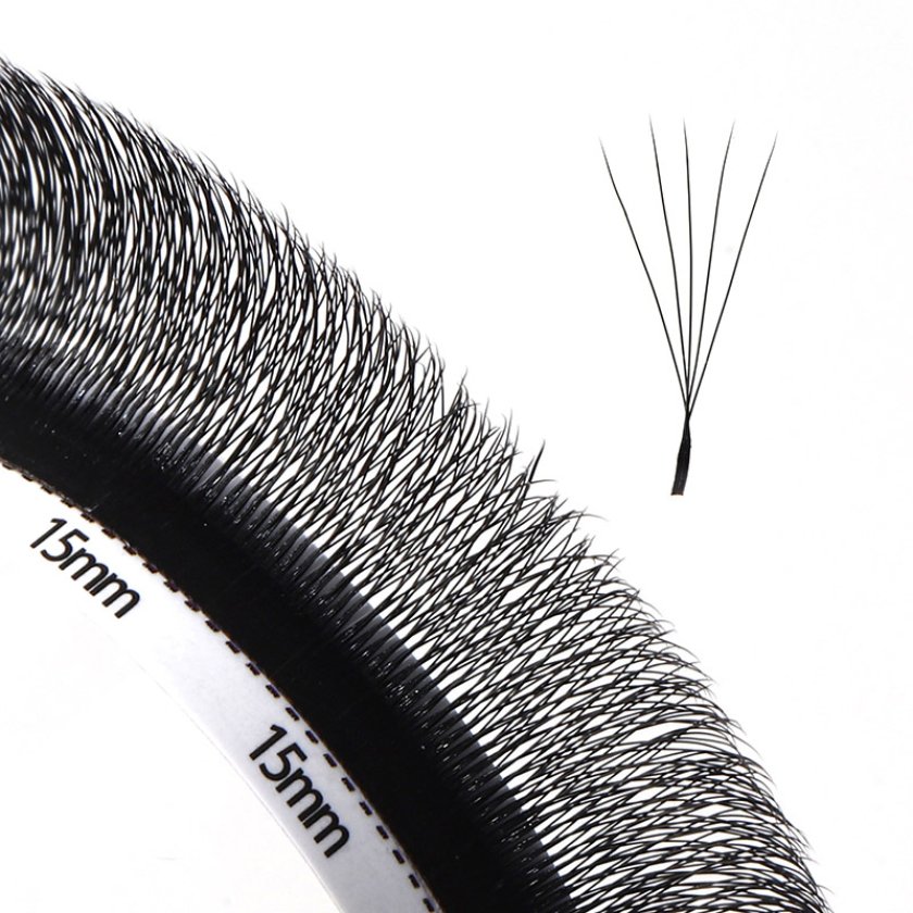 Narrow Fans 5D W Lashes