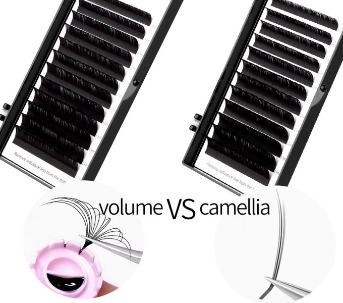 Camellia Lashes vs. Normal Volume Lashes: The Ultimate Sourcing Comparison