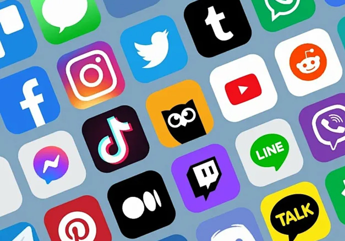 The Role of Social Media