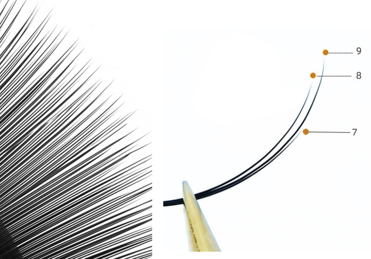 multi-length camellia lash extension